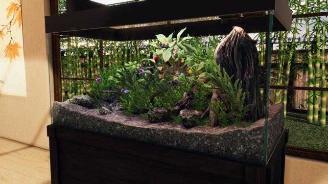Aquascapers 