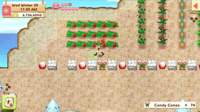 Harvest Moon: Light of Hope Special Edition 
