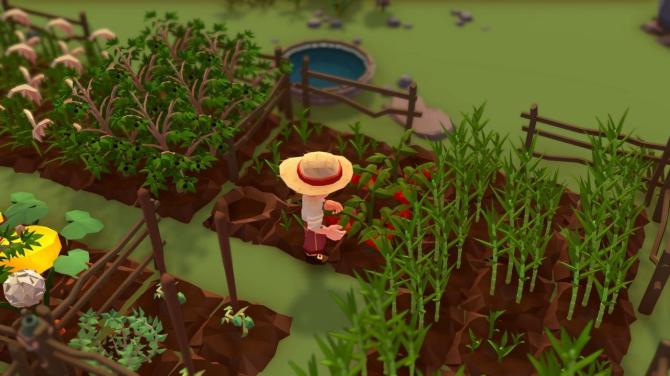 Stranded Sails - Explorers of the Cursed Islands EU 