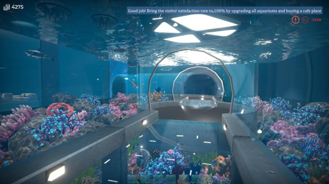 Aquarist 