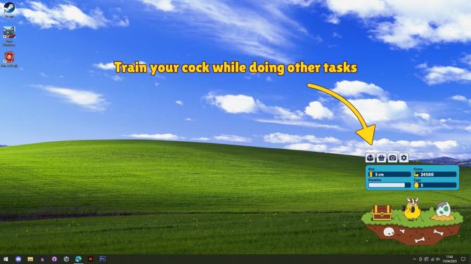 How to Train Your Cock 