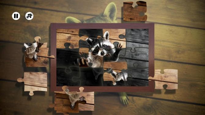 Puzzles Raccoons 
