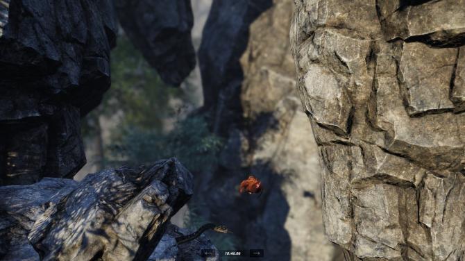 Unlucky Chicken 