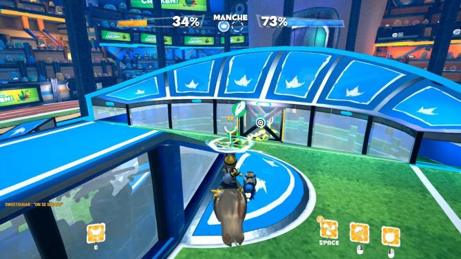 Super Chicken Catchers 