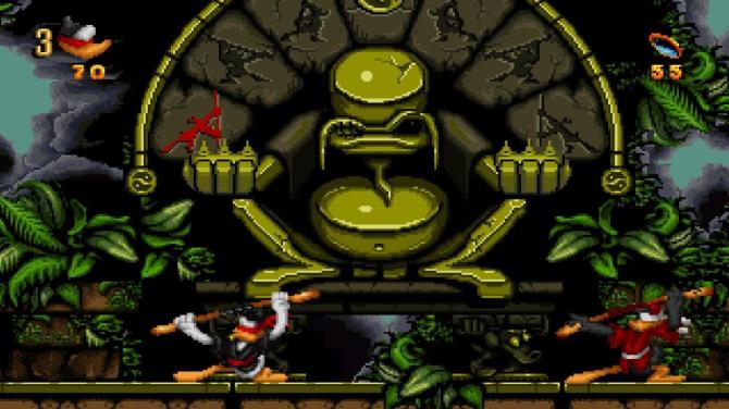 Maui Mallard in Cold Shadow 