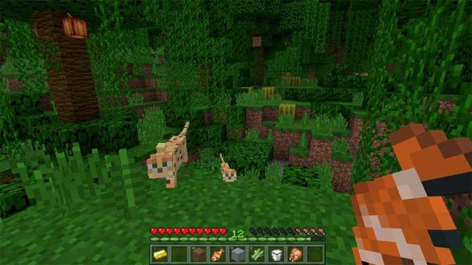 Minecraft Windows 10 Edition AR PC CD Key 