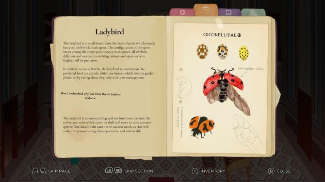 CLeM XBOX One / Xbox Series X|S Account 