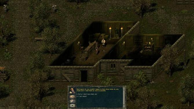 Divine Divinity 