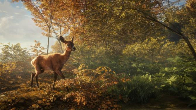 theHunter: Call of the Wild - Ultimate Starter Bundle 