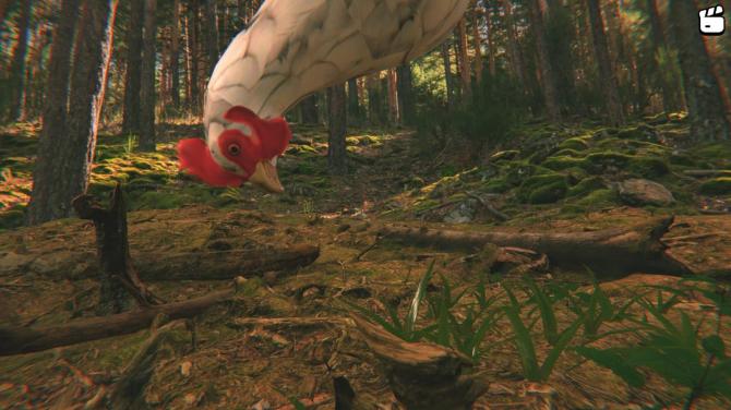 Catch the Chiken 