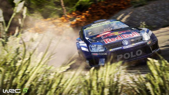 WRC Bundle 