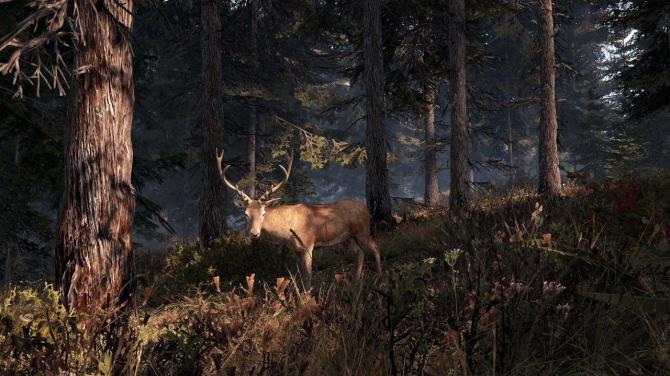 This Land Is My Land 