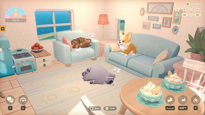 Animalkind 