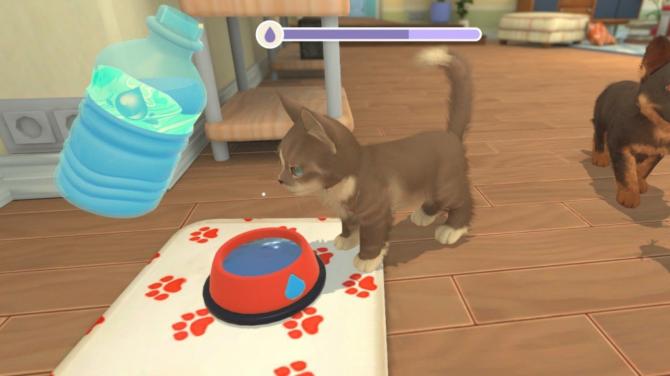 My Universe - Puppies & Kittens 