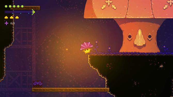 Lone Fungus 
