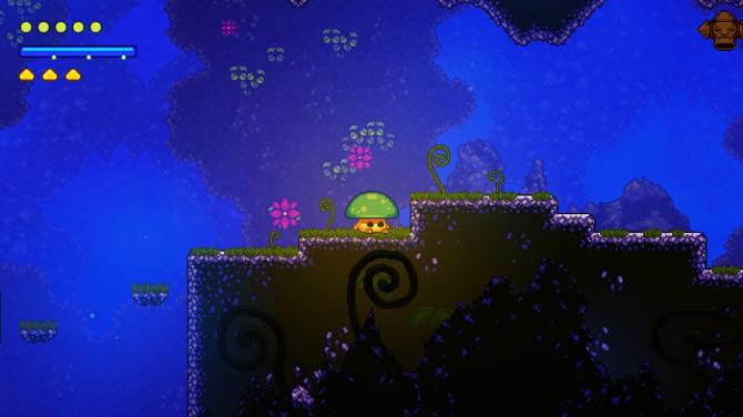 Lone Fungus 