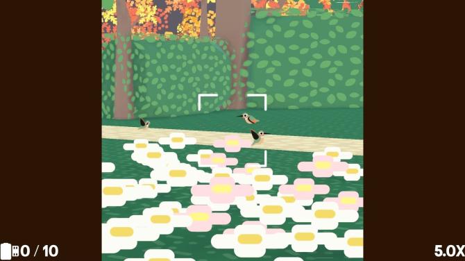 Flock Around 