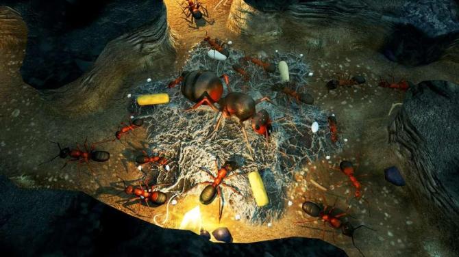 Empires of the Undergrowth 