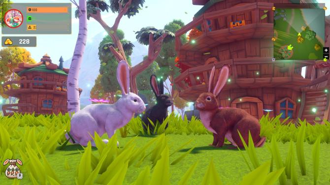 Adventure Forest: Rabbit Story 