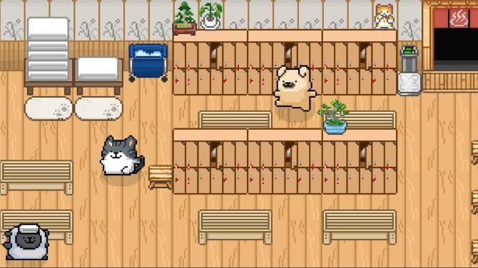 Maltese's Fluffy Onsen 