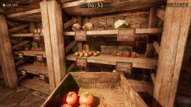 Village Merchant 