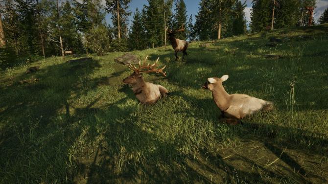 Ranger’s Path: National Park Simulator PC St 