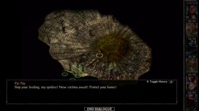 Baldur's Gate and Baldur's Gate II: Enhanced Editions EU 