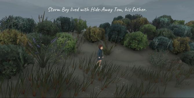 Storm Boy 