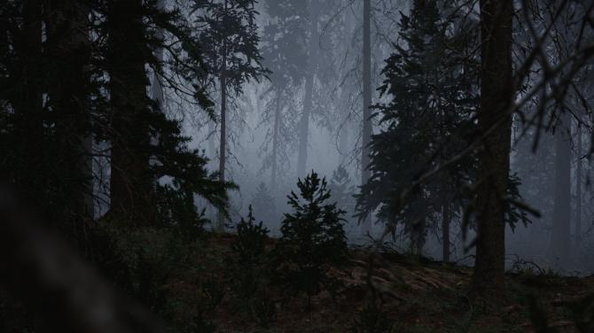 Veil of Mist 