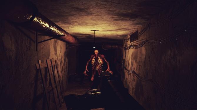 Z.O.N.A Project X VR 