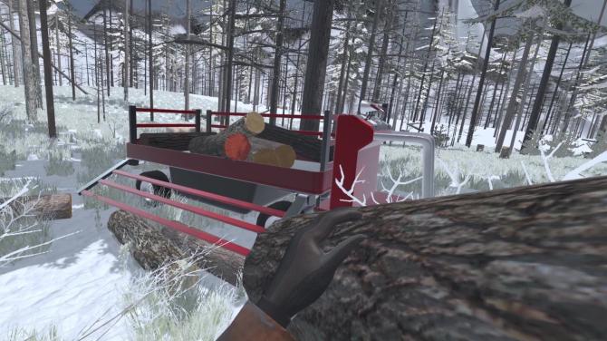 Forest Construction VR 