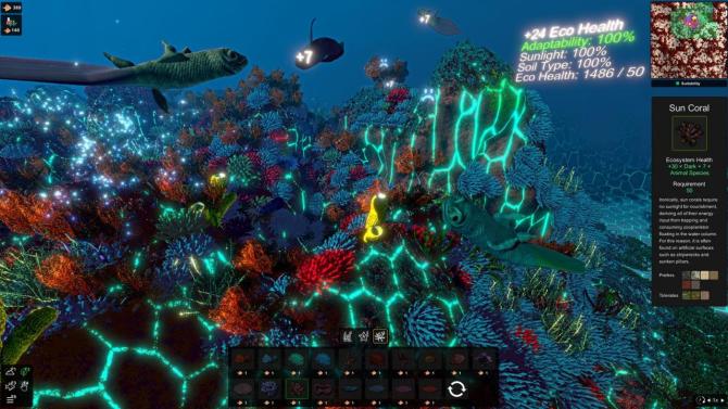 Ecosystem 