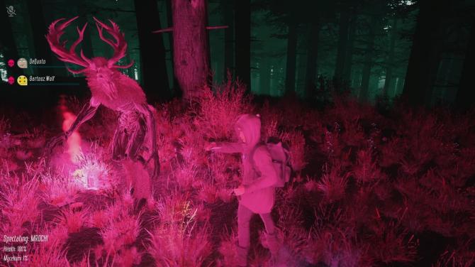 Mycelium: The Silent Contract 