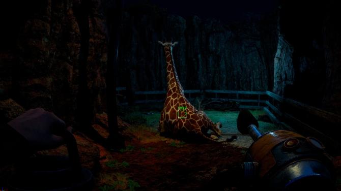 Zoochosis 