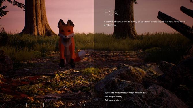 PLAYNE : The Meditation Game 