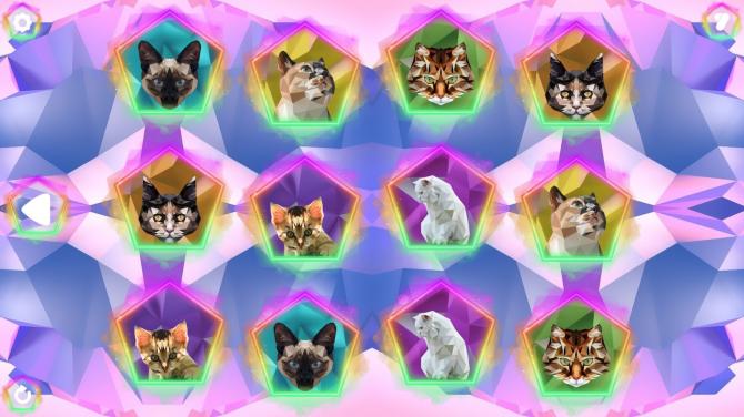Poly Memory: Cats 