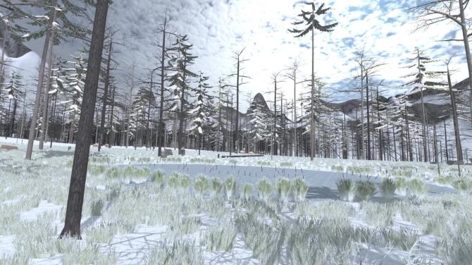 Forest Construction VR 