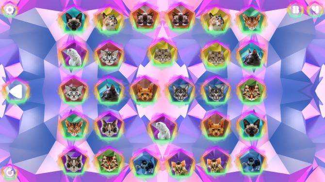 Poly Memory: Cats 