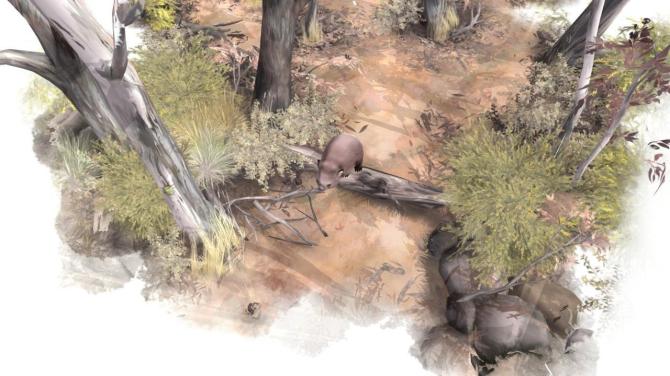 Paperbark 