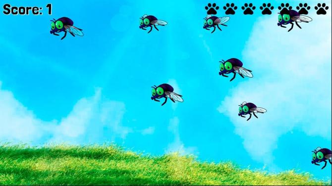 SHADE The Border Collie Flycatcher 