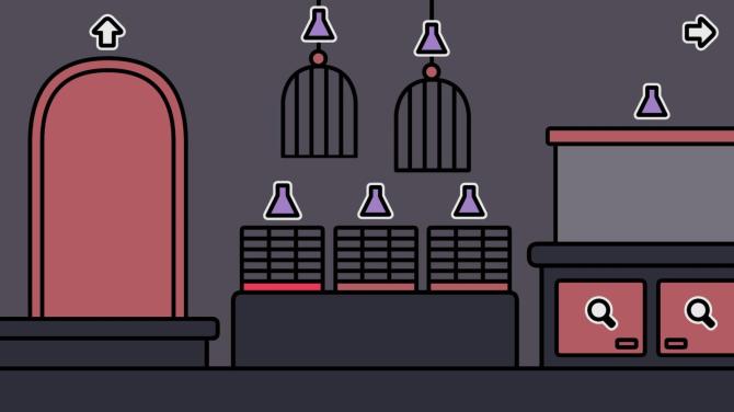 a pet shop after dark 