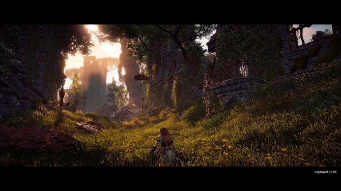 Horizon Zero Dawn Complete Edition PS4/PS5 Access 