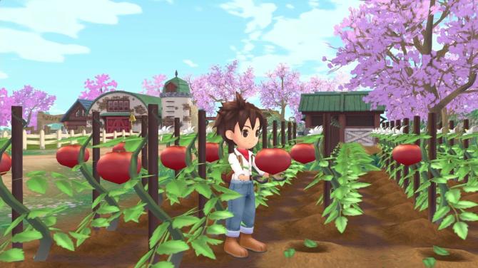 Story of Seasons: A Wonderful Life 