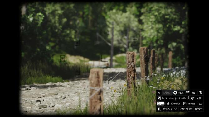 Lushfoil Photography Sim 