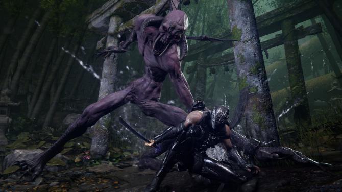 NINJA GAIDEN 4 PS5 Access 