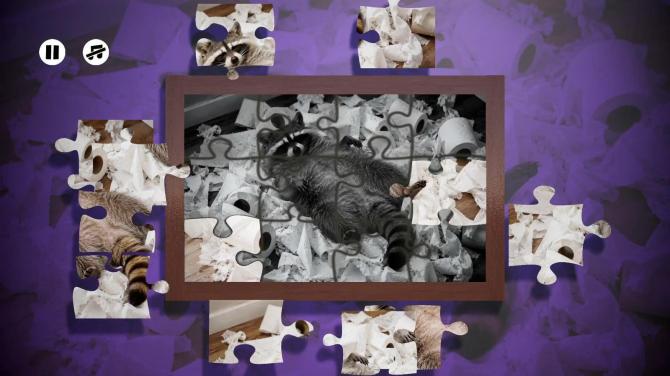 Puzzles Raccoons 