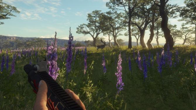 theHunter: Call of the Wild - Master Hunter Bundle 