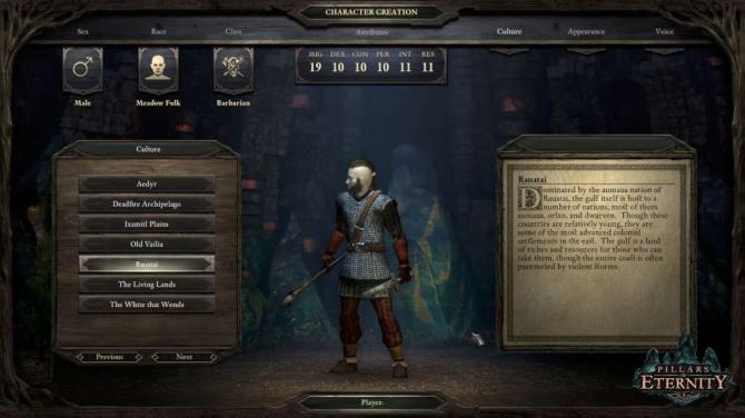 Pillars of Eternity Definitive Edition 