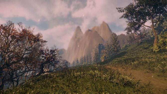 Drizzlepath 