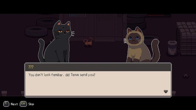 A Street Cat's Tale 2: Out side is dangerous 
